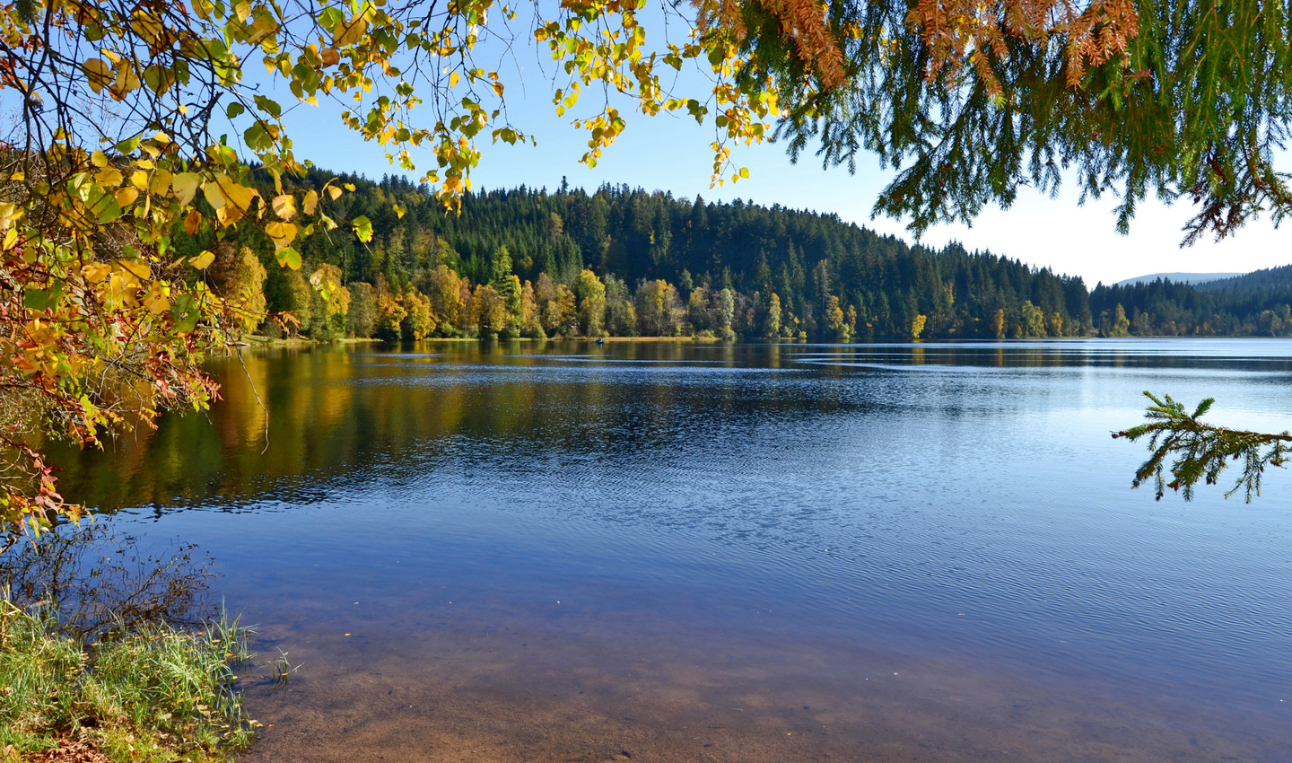 Der herbstliche Windgfällweiher