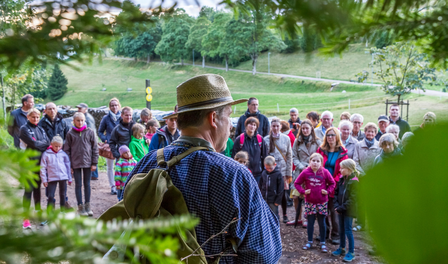 Geführte Gruppenwanderungen im Hochschwarzwald