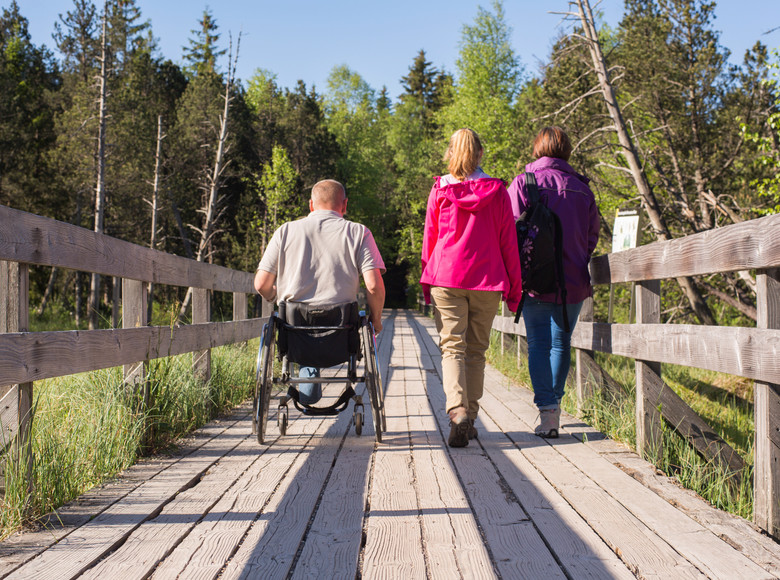 Spaziergang im Hochmoor in Hinterzarten bei schönem Sommerwetter