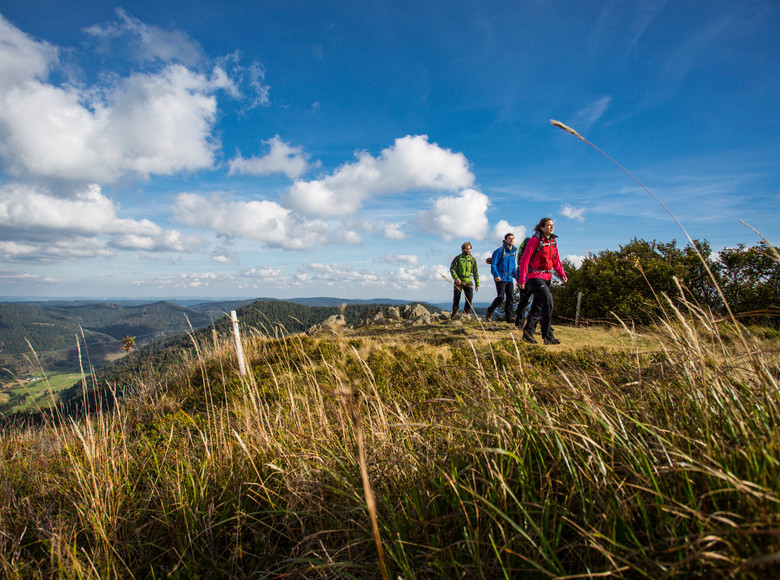 Gruppe wandert bei traumhaften Wetter am Herzogenhorn