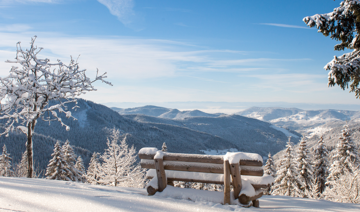 Winterspaziergänge sind für viele Menschen die schönste Nebensache der Welt.