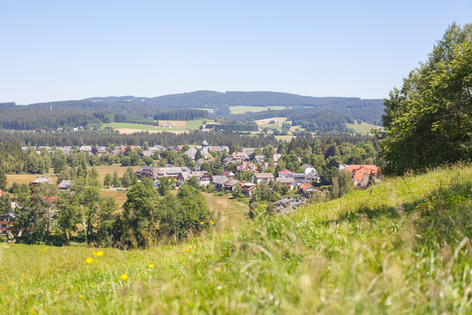 Hochschwarzwälder Sonnenplätze Blick auf Hinterzarten