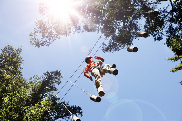 Mann beim Klettern in den Baumwipfeln 