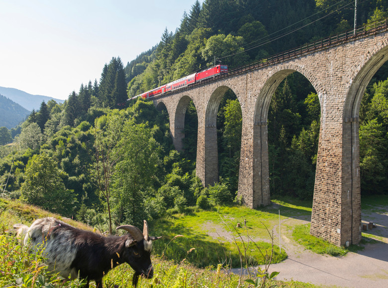 Hoellentalbahn-Hoellsteig-Ravennaviadukt-mit-Zug-und-Ziege