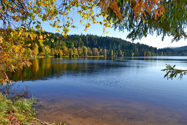 Der herbstliche Windgfällweiher