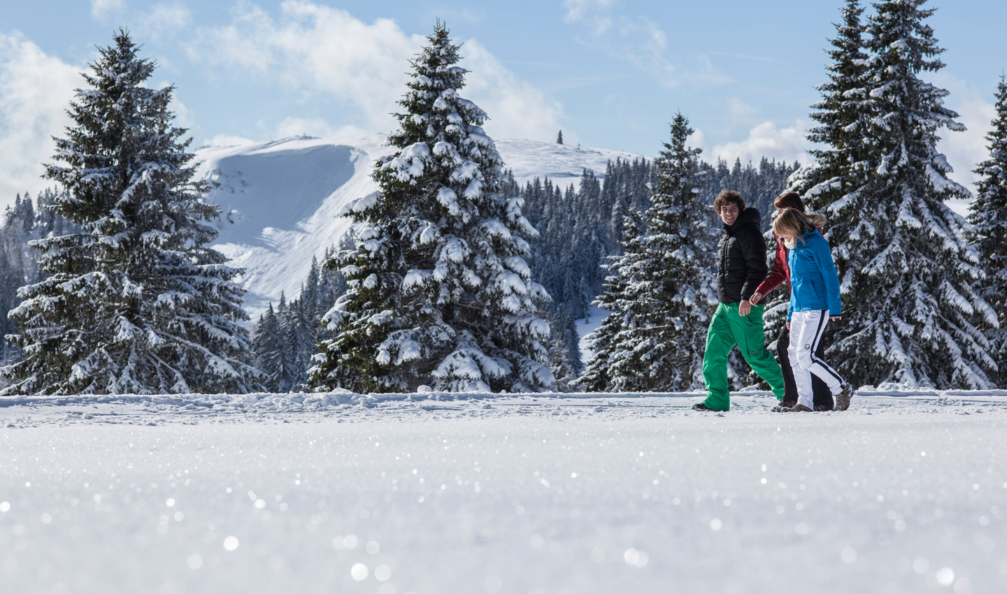 Winterwandern im Hochschwarzwald 