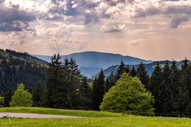 Die 8 schönsten Berge im Schwarzwald
