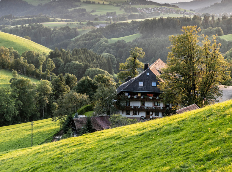 Kapfenhof in St. Peter umringt von grünen Wiesen