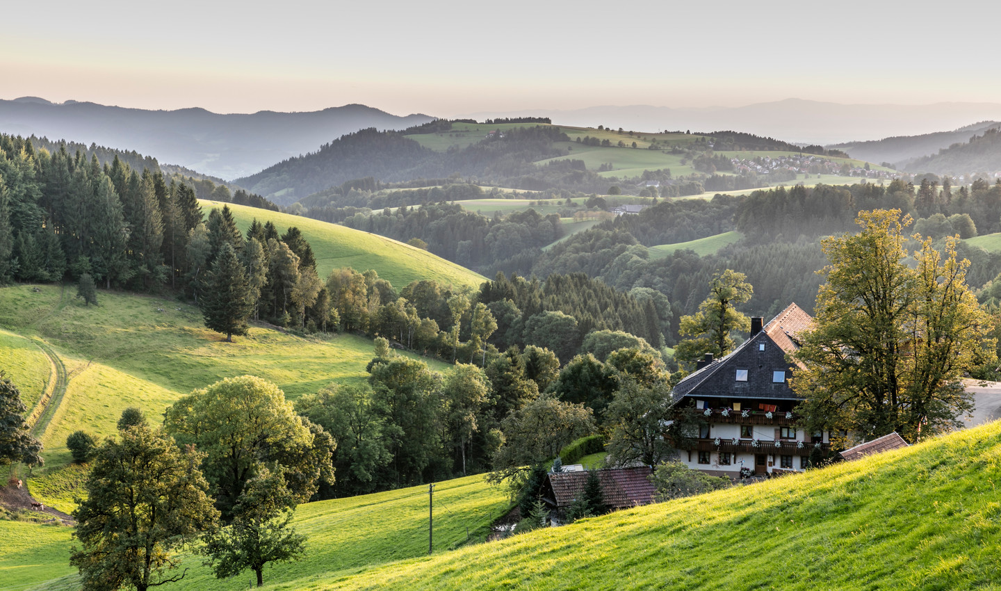 Kapfenhof in St. Peter umringt von grünen Wiesen