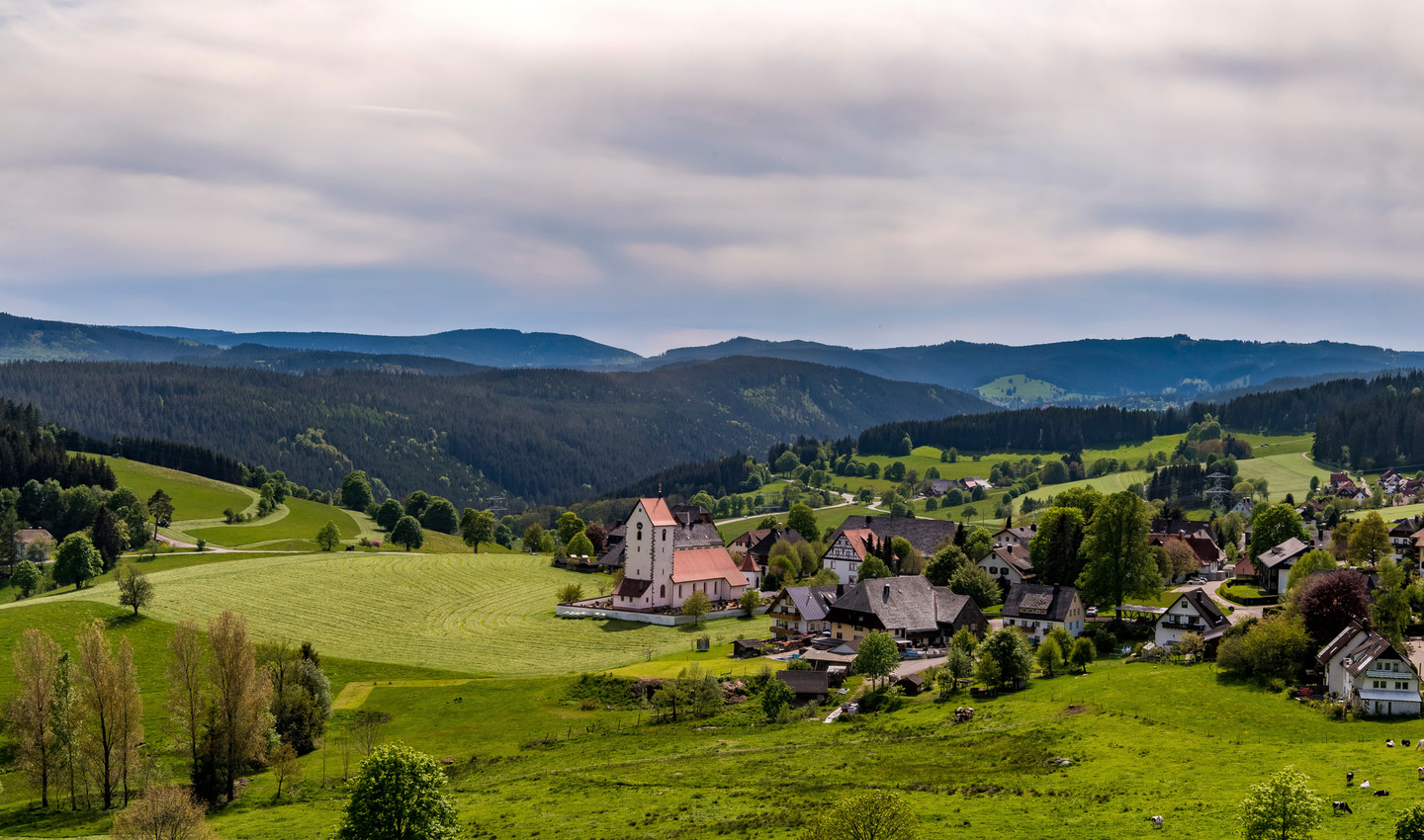 Das Dorf Saig umgeben von Wälder