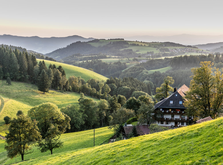 Kapfenhof in St. Peter umringt von grünen Wiesen