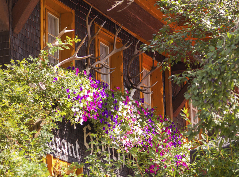 Hotel Hirschen in Menzenschwand