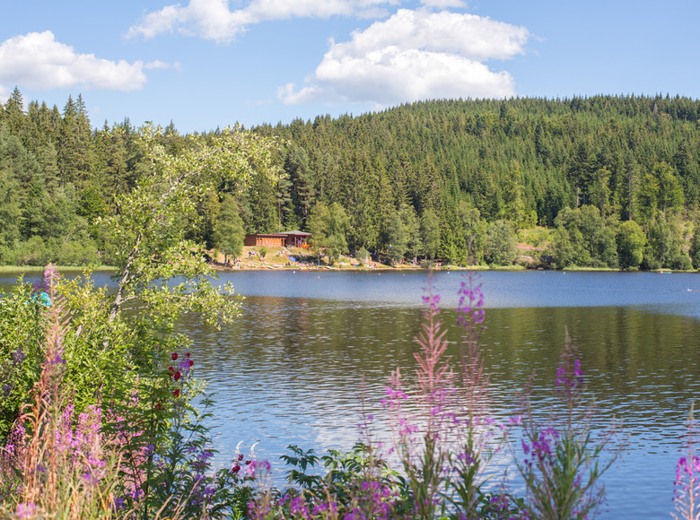 Schön - und schön erfrischend: Der Windgfällweiher