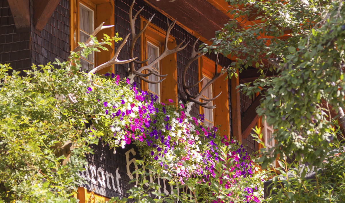 Hotel Hirschen in Menzenschwand