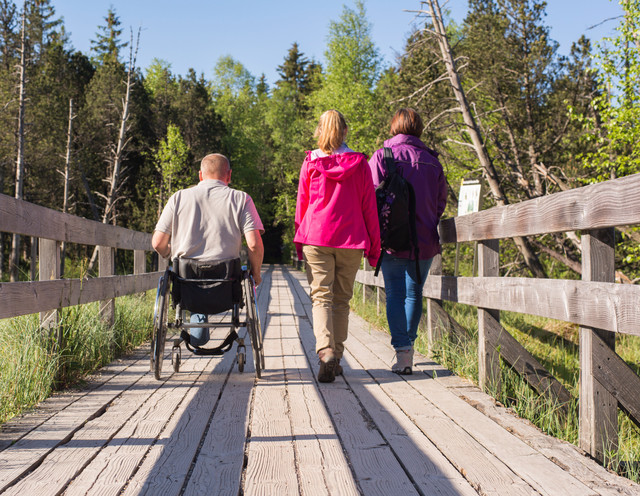 Spaziergang im Hochmoor in Hinterzarten bei schönem Sommerwetter