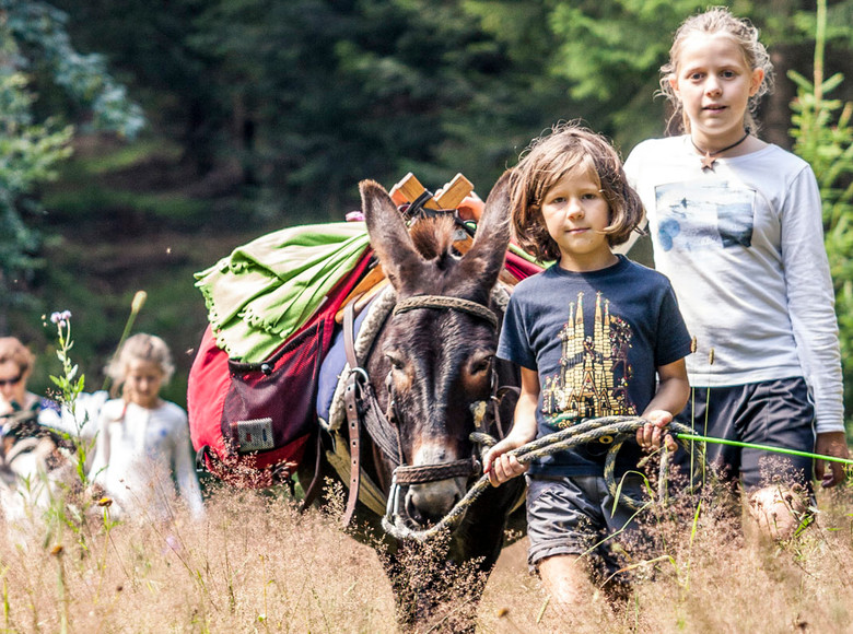Die Kinder genießen die kurzen Ritte, doch meist führen sie die Esel abwechselnd am Strick.