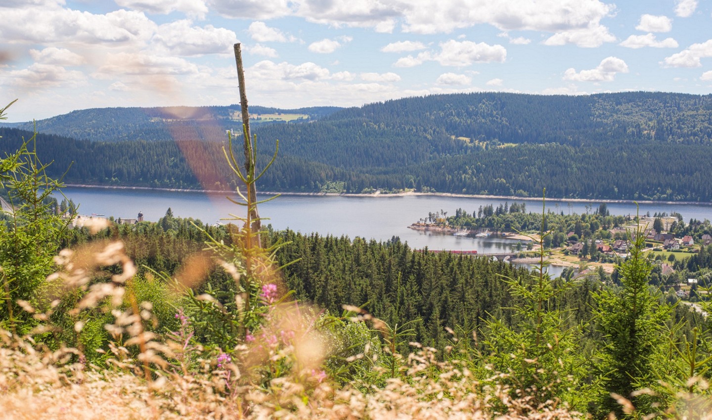 Blick auf den Schluchsee vom Riesenbühlturm