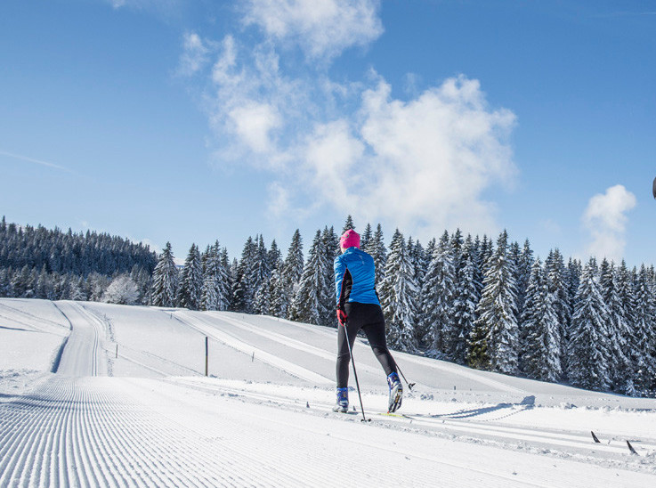Immer in der richtigen Spur mit diesen Loipen.