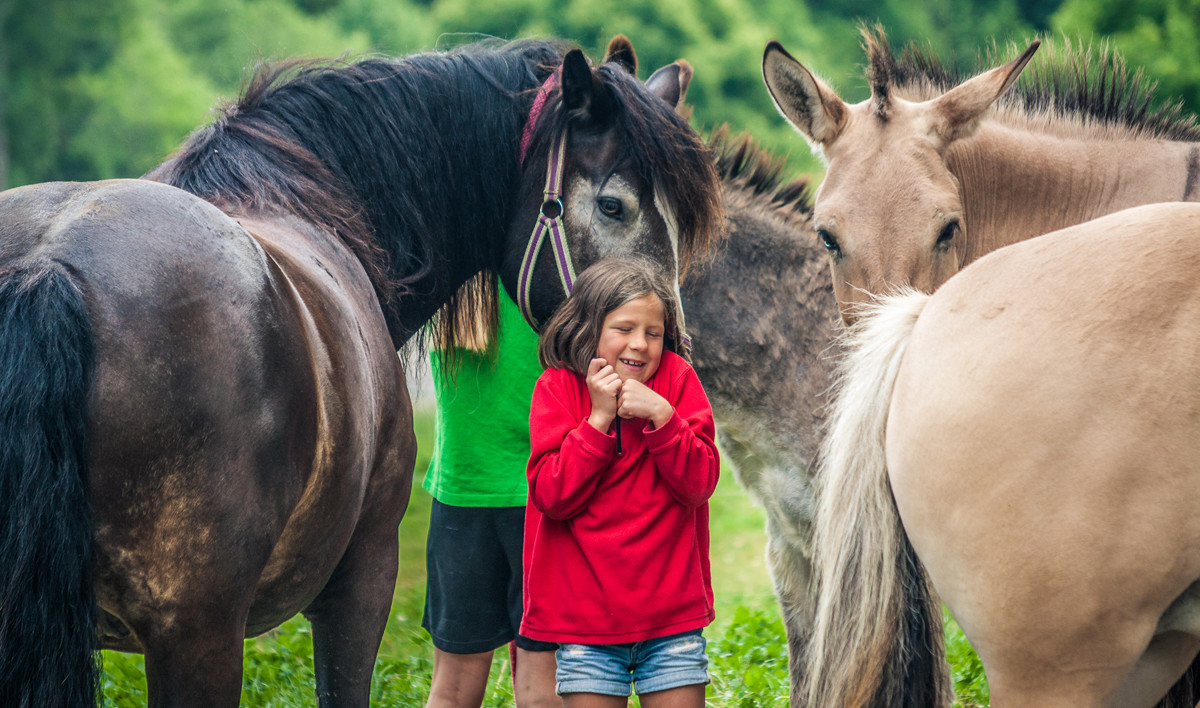 Die Bewohner sind ganz schön neugierig...