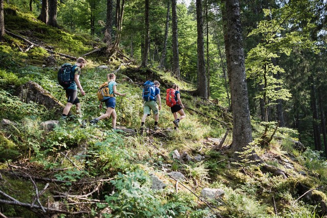 Eine Gruppe beim Wandern im Hochschwarzwald
