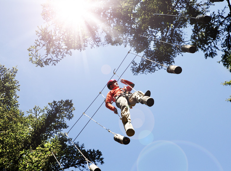 Mann beim Klettern in den Baumwipfeln 