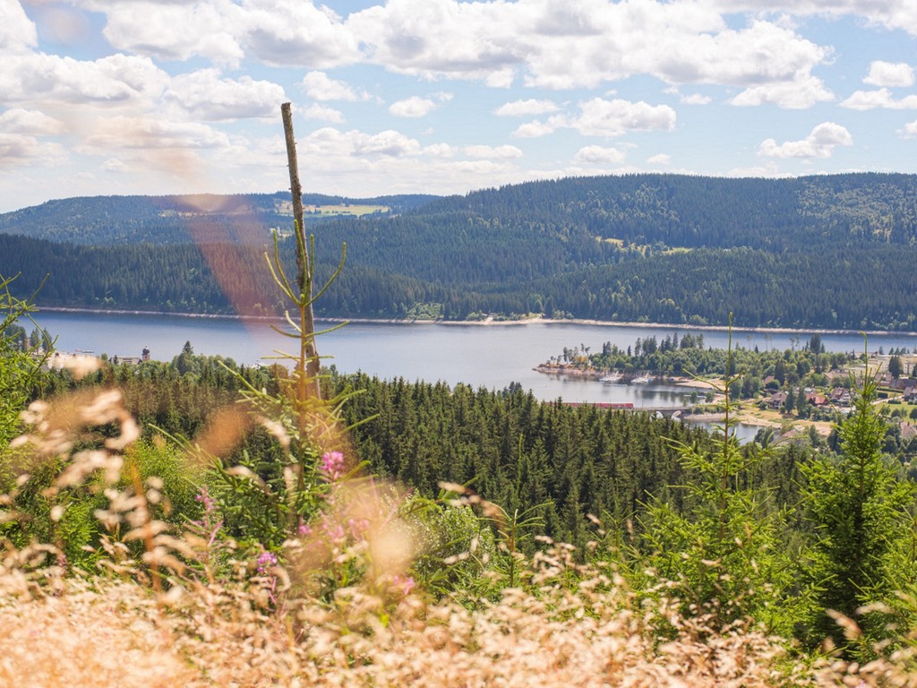 Blick auf den Schluchsee vom Riesenbühlturm