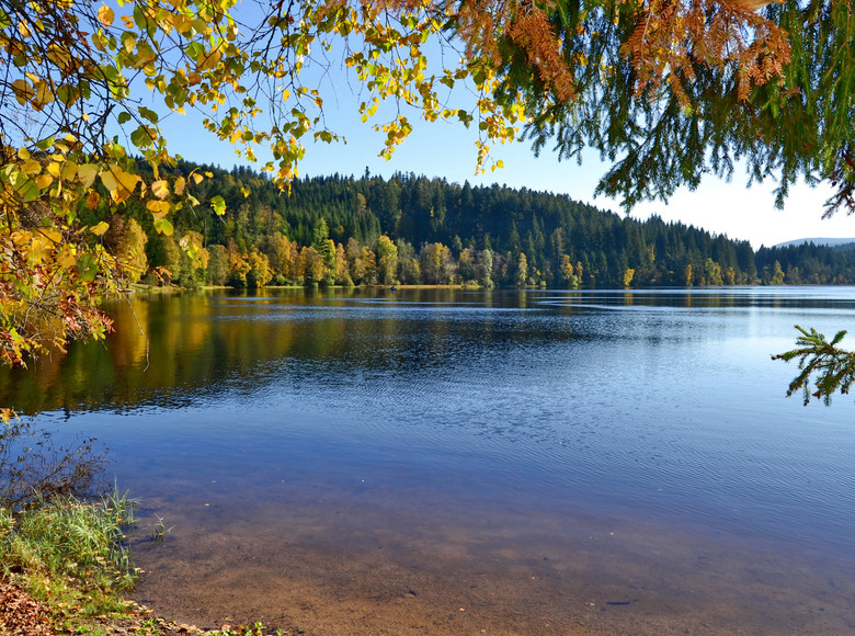 Der herbstliche Windgfällweiher