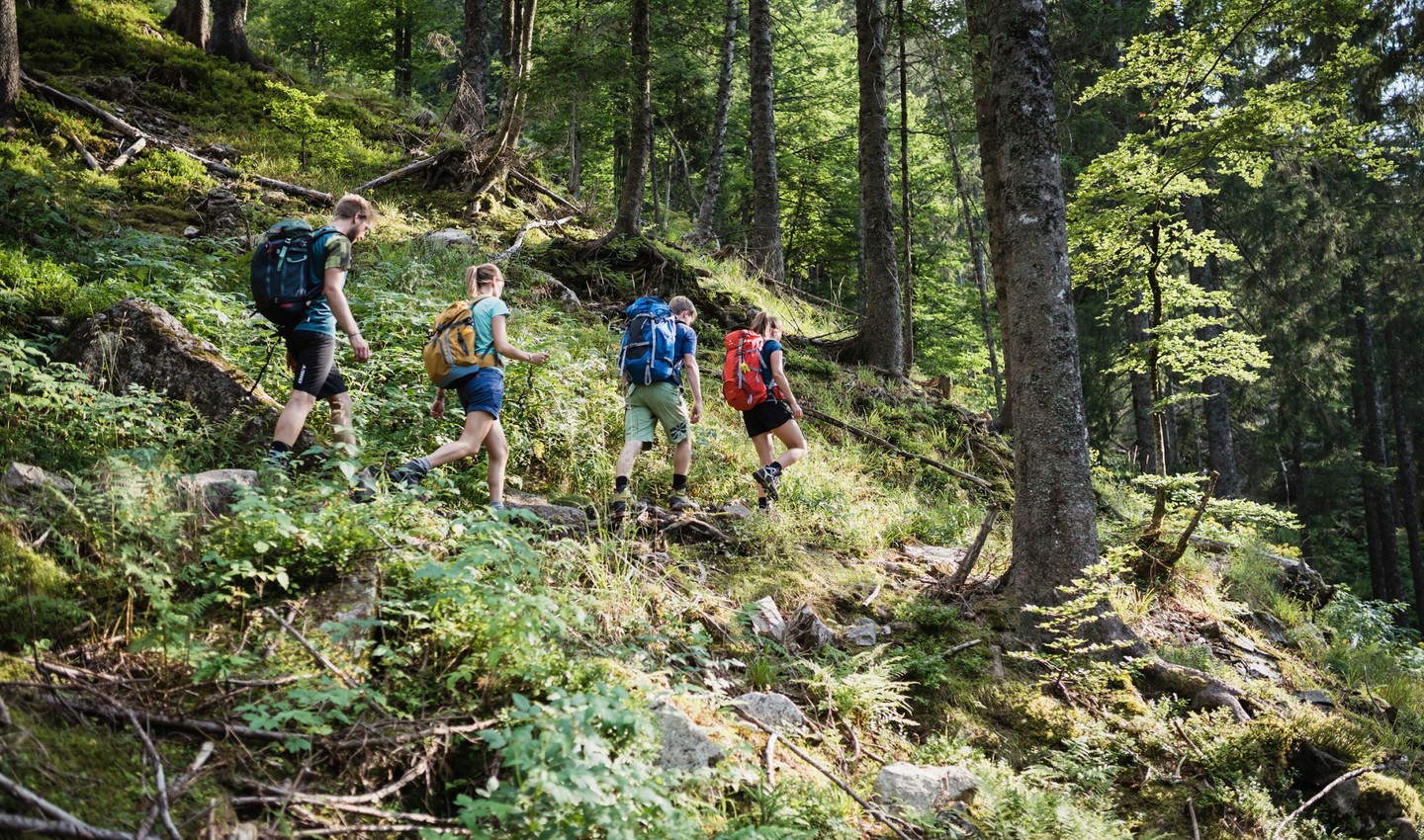 Eine Gruppe beim Wandern im Hochschwarzwald
