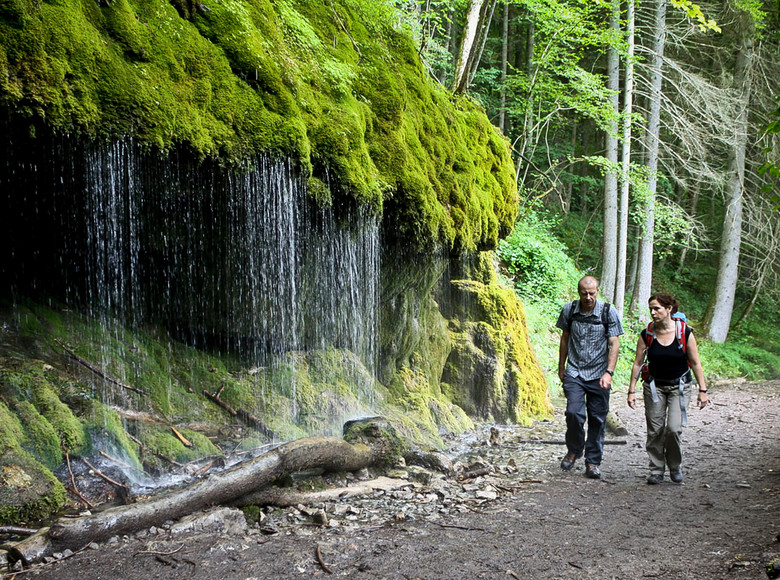 Einer der reichsten Naturräume Deutschlands: Die Wutachschlucht