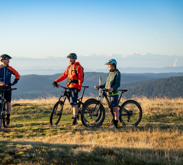 Drei Mountainbiker auf einem Berg mit traumhaften Panorama