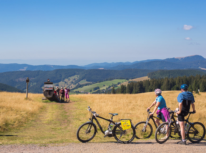 Wie viele Personen passen wohl auf die längste Bank der Welt am Stübenwasen?
