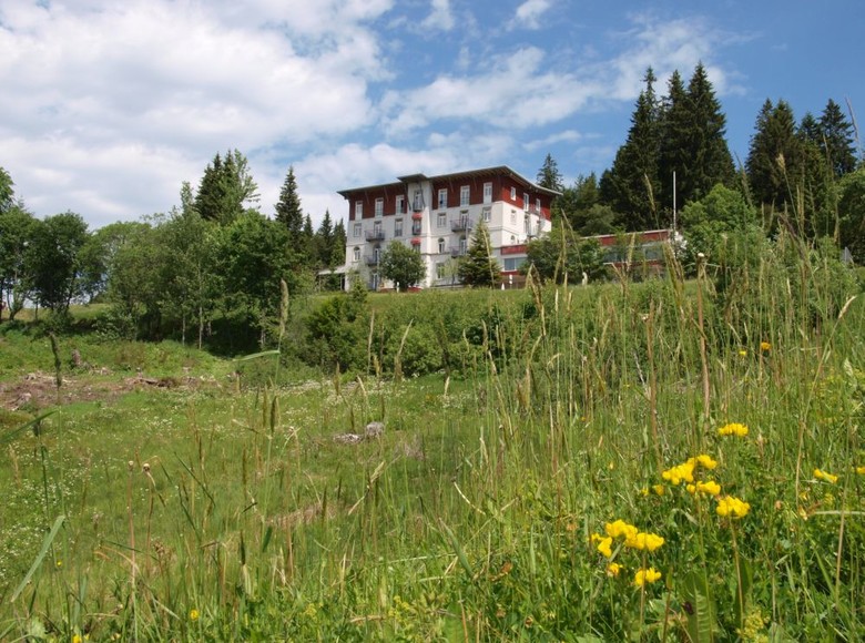 Waldhotel am Notschreipass in Todtnau