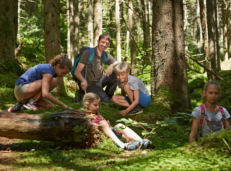 Im Wald gibt es unendlich viel zu entdecken und daher ist er perfekt für Kinder und Familien.
