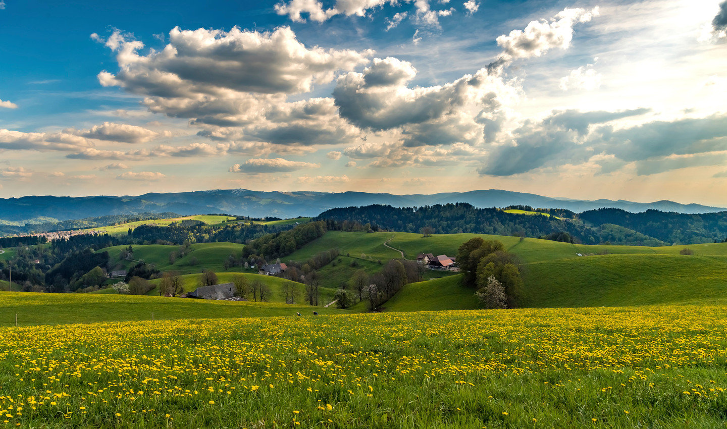 Sommerliche Landschaft bei St. Peter