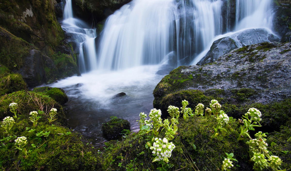 Triberger-Wasserfall