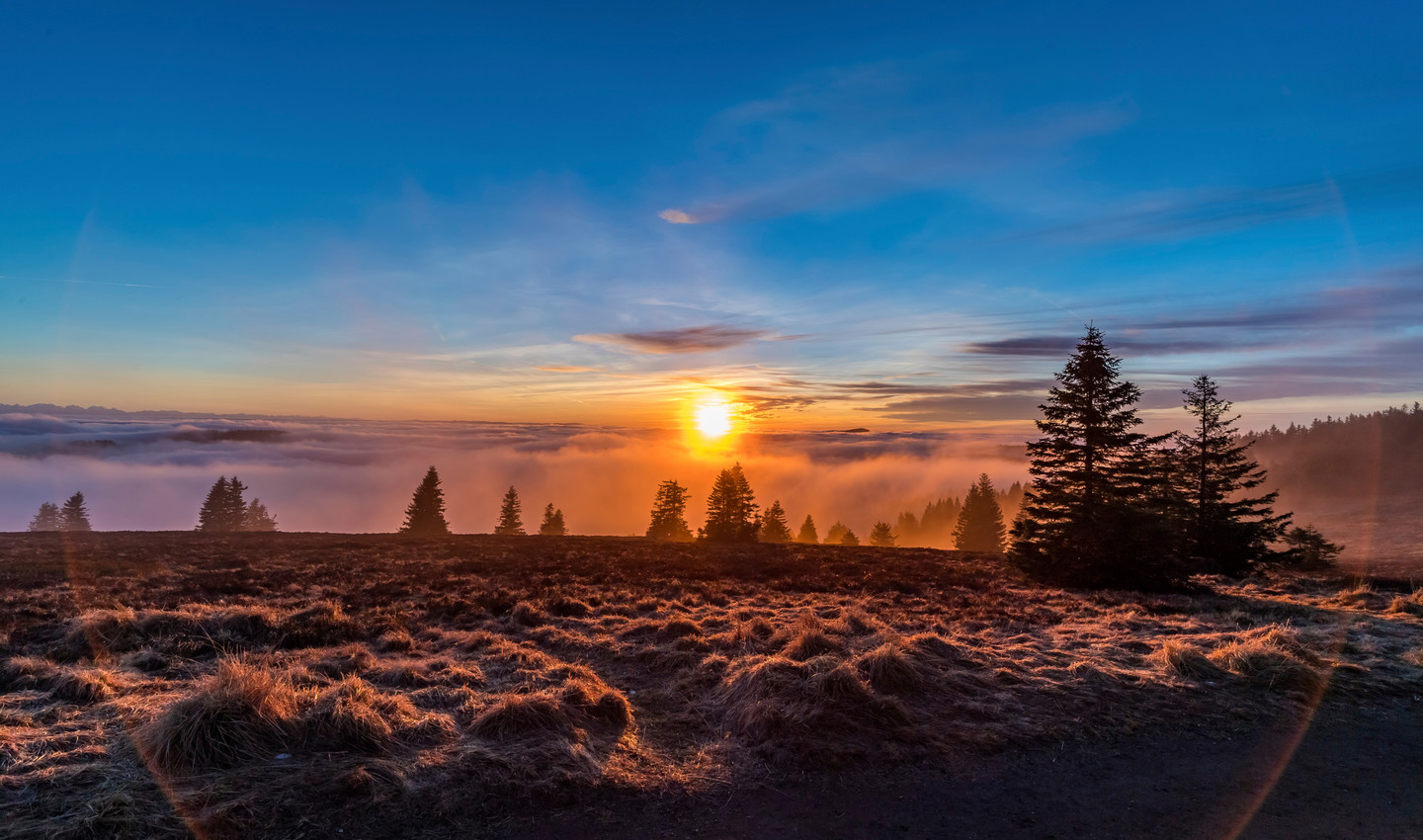 Sonnenaufgang am Feldberg