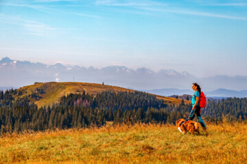 Die Abenteuer des Huckleberry Finn