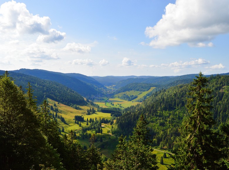 Aussicht auf Menzenschwand
