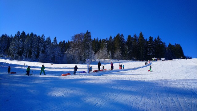 Rodeln am Skilift Kalte Herberge.