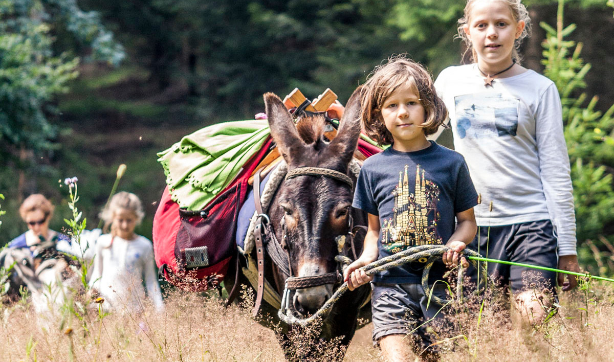 Die Kinder genießen die kurzen Ritte, doch meist führen sie die Esel abwechselnd am Strick.