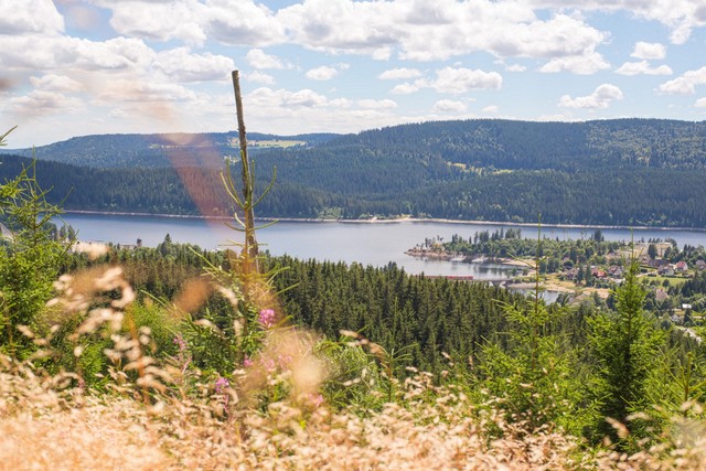 Blick auf den Schluchsee vom Riesenbühlturm