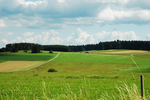 Die Rötenbacher Wiesen stehen unter Naturschutz und sind Lebensraum für zahlreiche vom Aussterben bedrohte Tier- und Pflanzenarten.