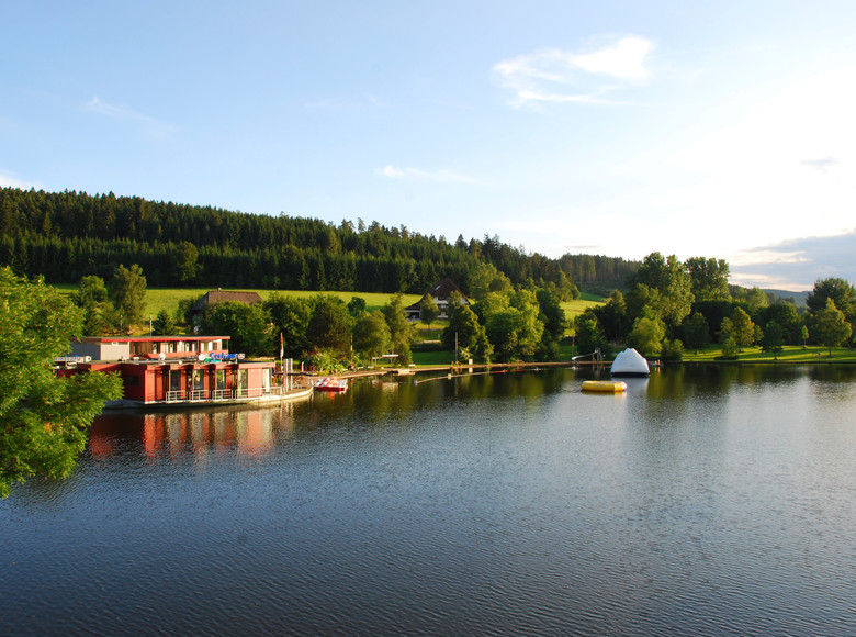 Der Klosterweiher in St. Georgen inmitten einer grünen Landschaft