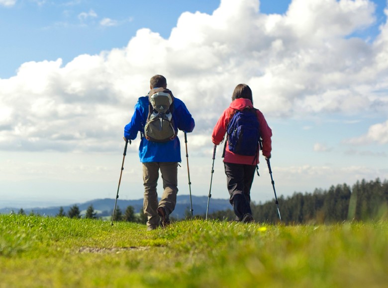 Wanderer auf einem Höhenklimaweg