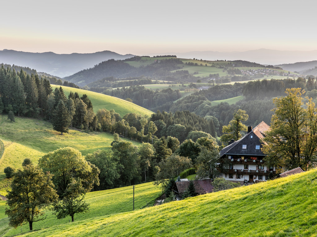 Kapfenhof in St. Peter umringt von grünen Wiesen