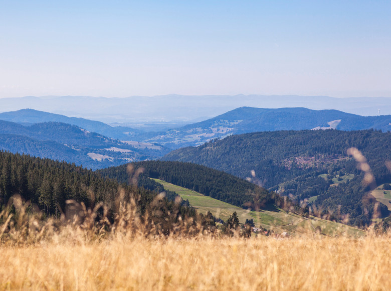 Blick vom Stübenwasen 
