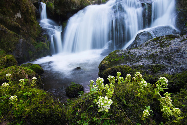 Triberger-Wasserfall