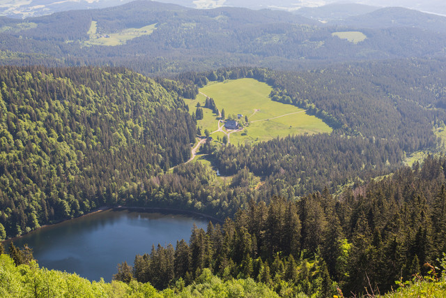 Idyllisch liegt der Feldsee am Fuß des Feldbergs