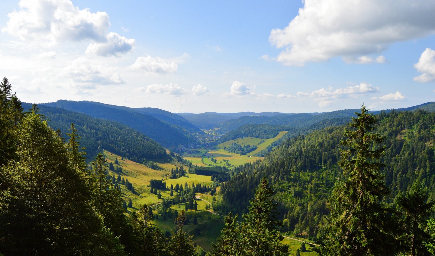 Aussicht auf Menzenschwand