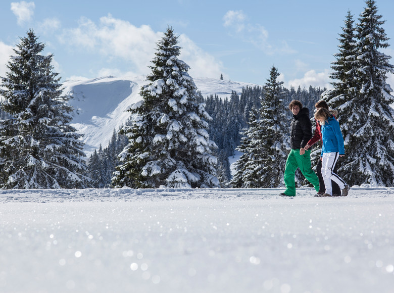 Winterwandern im Hochschwarzwald 